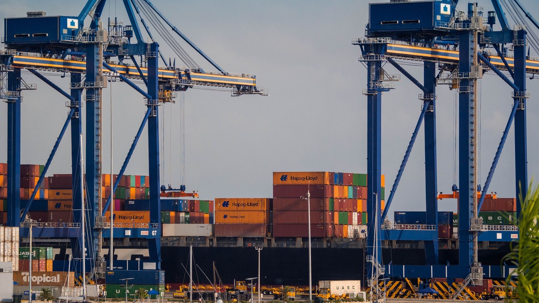 Container cranes and stacked cargo at an ocean freight terminal